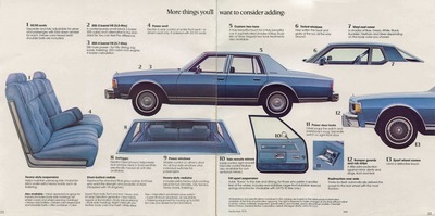 1977 Chevrolet Full Size-22-23.jpg